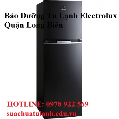 Bảo Dưỡng Tủ Lạnh Electrolux Quận Long Biên