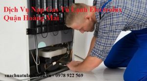 Dịch Vụ Nạp Gas Tủ Lạnh Electrolux Quận Hoàng Mai