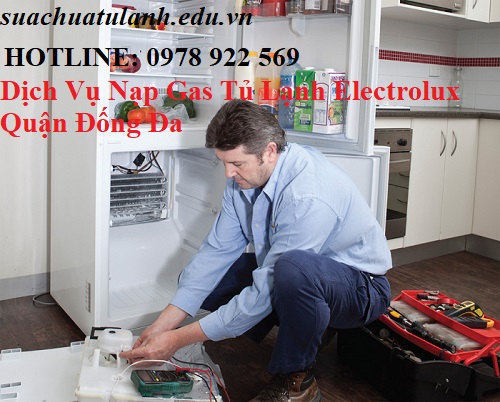 Dịch Vụ Nạp Gas Tủ Lạnh Electrolux Quận Đống Đa