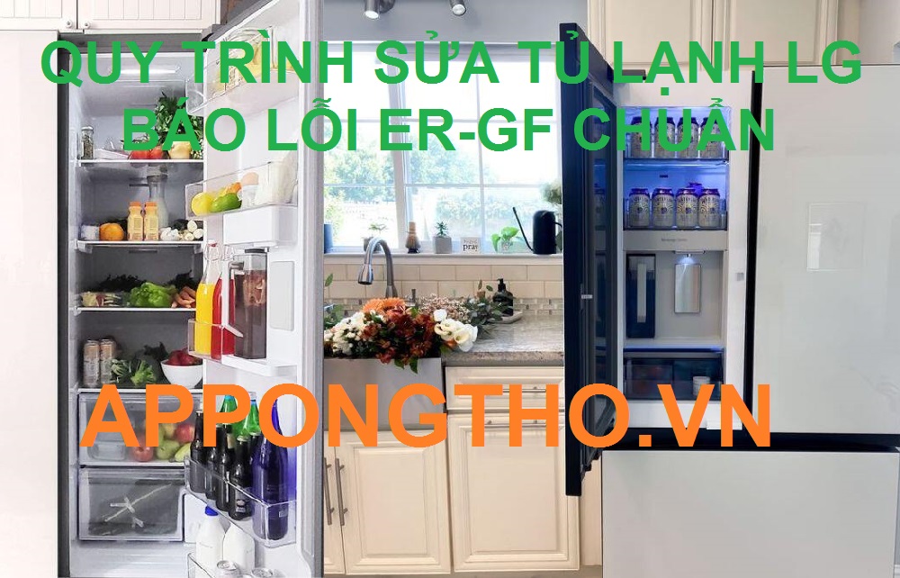 Tủ lạnh LG Side By Side báo lỗi ER-GF cần kiểm tra những gì?